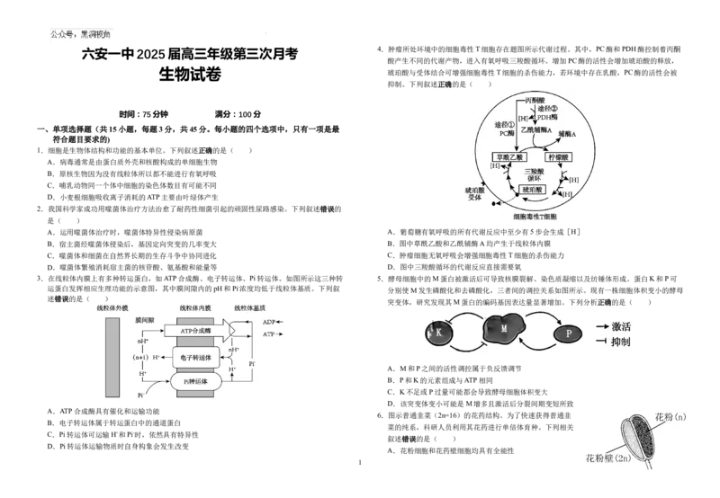安徽省六安市金安区安徽省六安第一中学2024-2025学年高三上学期11月月考生物试题_2024-2026高三（6-6月题库）_2024年11月试卷_11052025安徽省六安第一中学高三上学期第三次月考