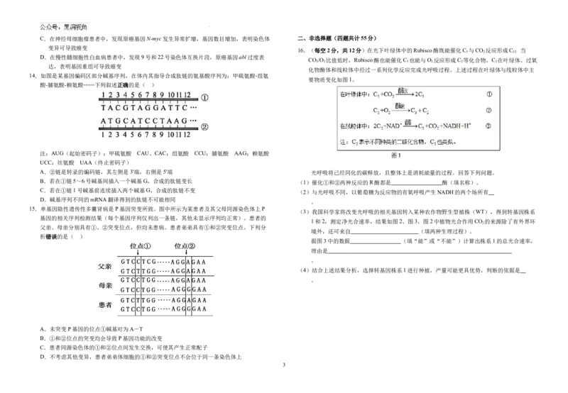 安徽省六安市金安区安徽省六安第一中学2024-2025学年高三上学期11月月考生物试题_2024-2026高三（6-6月题库）_2024年11月试卷_11052025安徽省六安第一中学高三上学期第三次月考