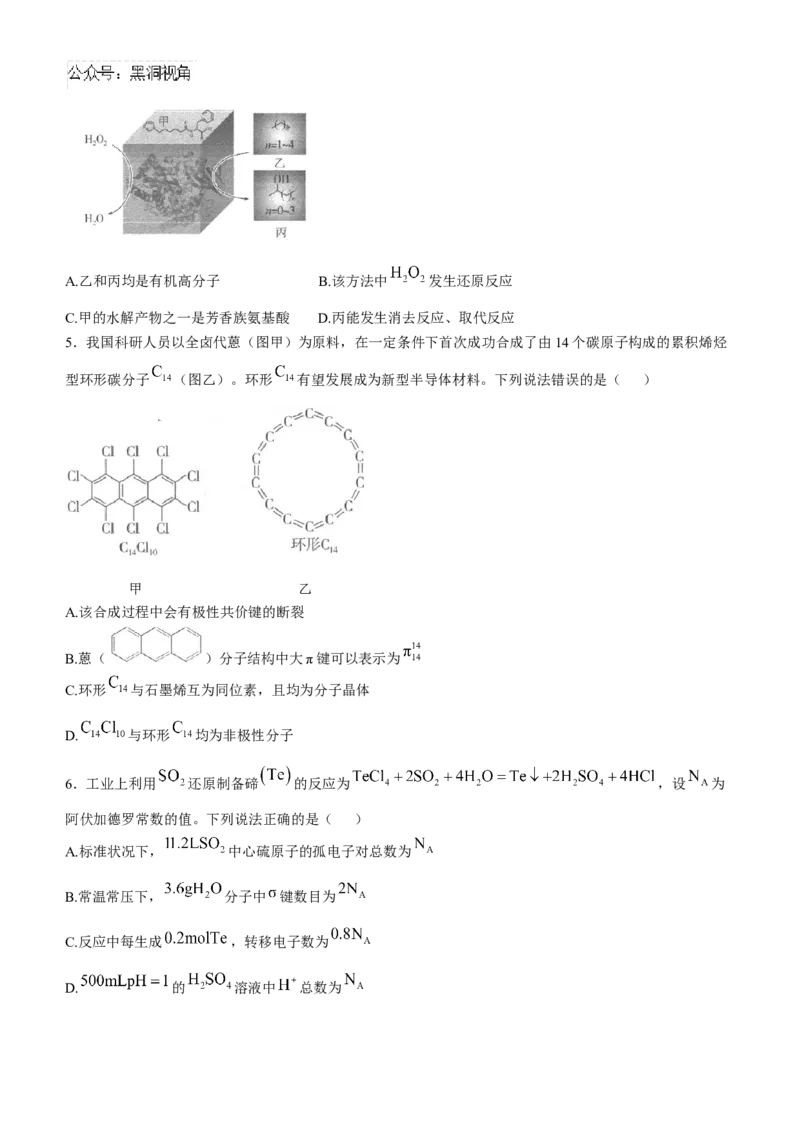 陕西省汉中市2024-2025学年高三上学期11月期中联考试题化学Word版含解析_2024-2025高三（6-6月题库）_2024年11月试卷_1120陕西省汉中市2024-2025学年高三上学期11月期中联考