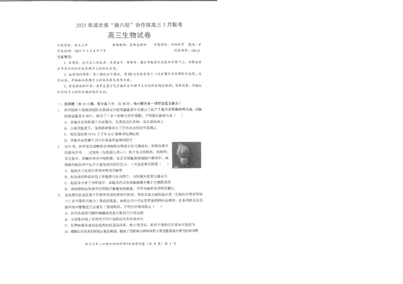 生物试卷_2024-2025高三（6-6月题库）_2025年05月试卷_05072025年湖北省新八校协作体高三5月联考（全科）