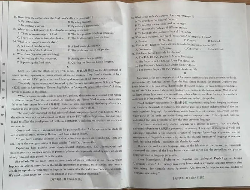 青海金太阳2025届高三10月联考英语试题_2024-2025高三（6-6月题库）_2024年10月试卷_1014青海省金太阳2025届高三10月联考