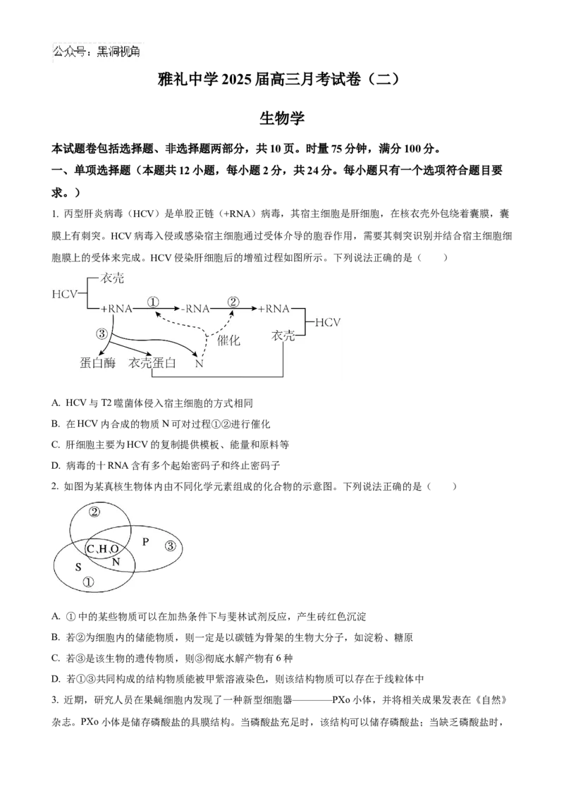 湖南省长沙市雅礼中学2025届高三上学期月考（二）生物试题_2024-2025高三（6-6月题库）_2024年10月试卷_1015湖南省长沙市雅礼中学2025届高三上学期月考（二）