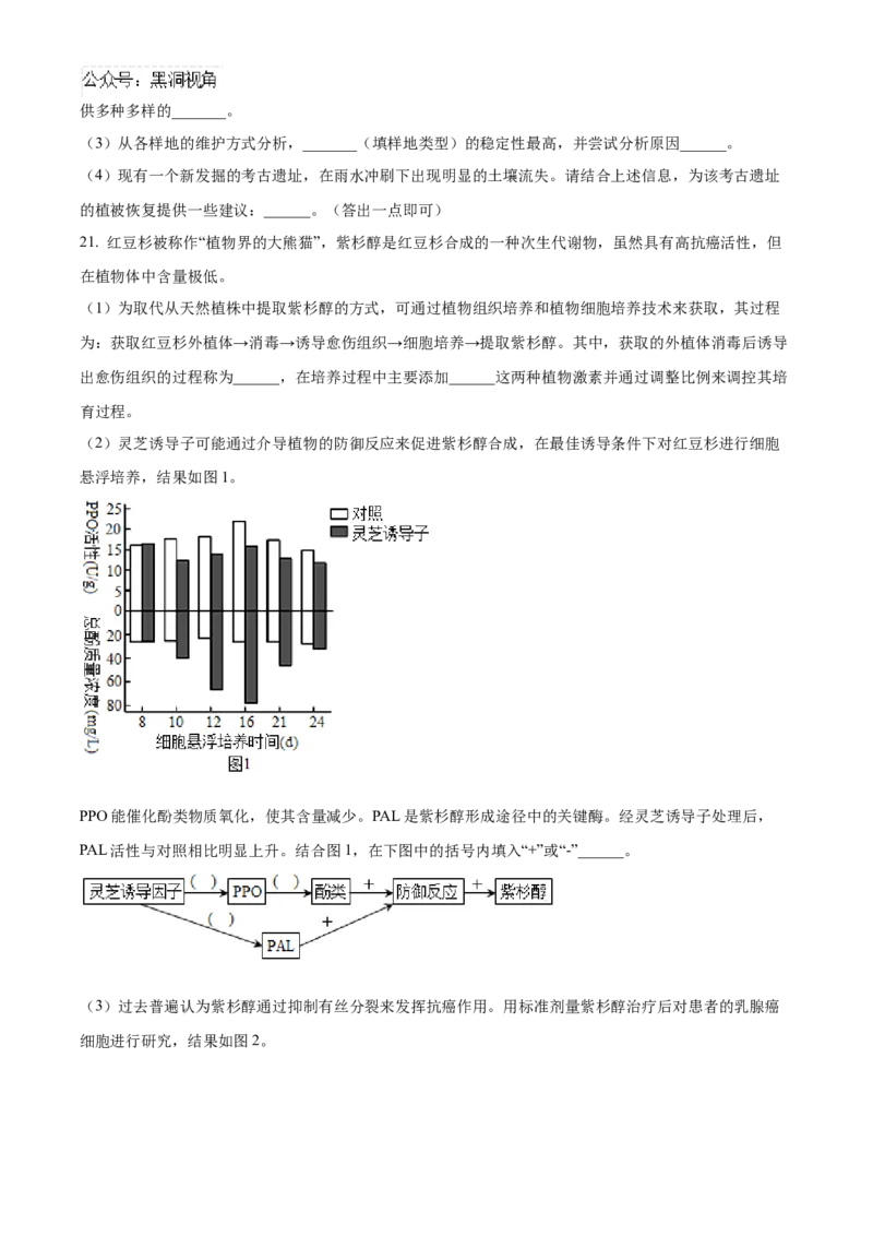 湖南省长沙市雅礼中学2025届高三上学期月考（二）生物试题_2024-2025高三（6-6月题库）_2024年10月试卷_1015湖南省长沙市雅礼中学2025届高三上学期月考（二）
