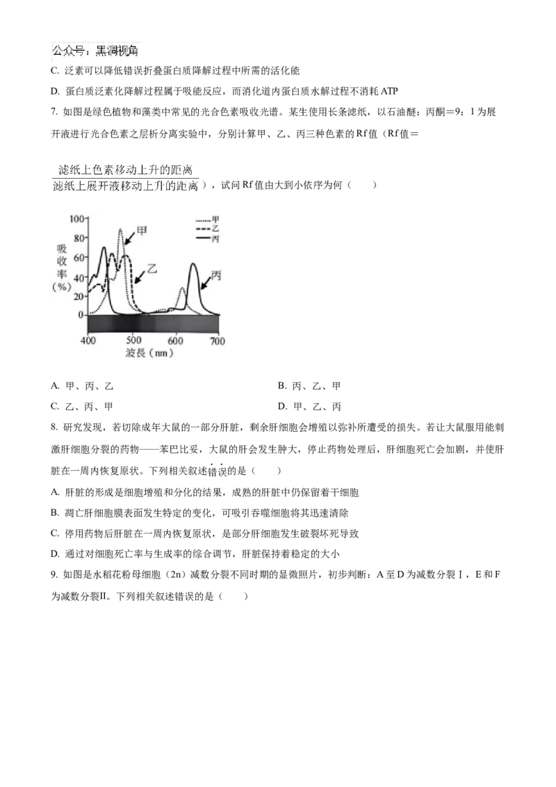 湖南省长沙市雅礼中学2025届高三上学期月考（二）生物试题_2024-2025高三（6-6月题库）_2024年10月试卷_1015湖南省长沙市雅礼中学2025届高三上学期月考（二）
