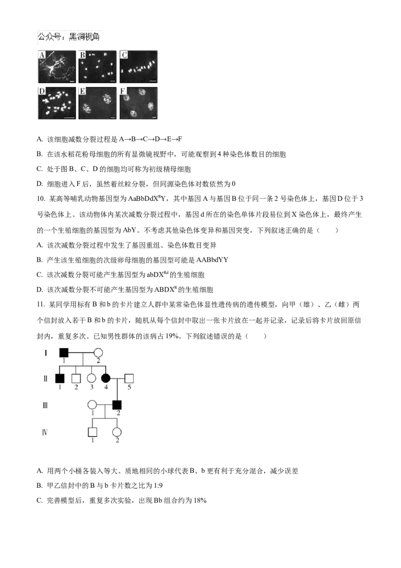 湖南省长沙市雅礼中学2025届高三上学期月考（二）生物试题_2024-2025高三（6-6月题库）_2024年10月试卷_1015湖南省长沙市雅礼中学2025届高三上学期月考（二）