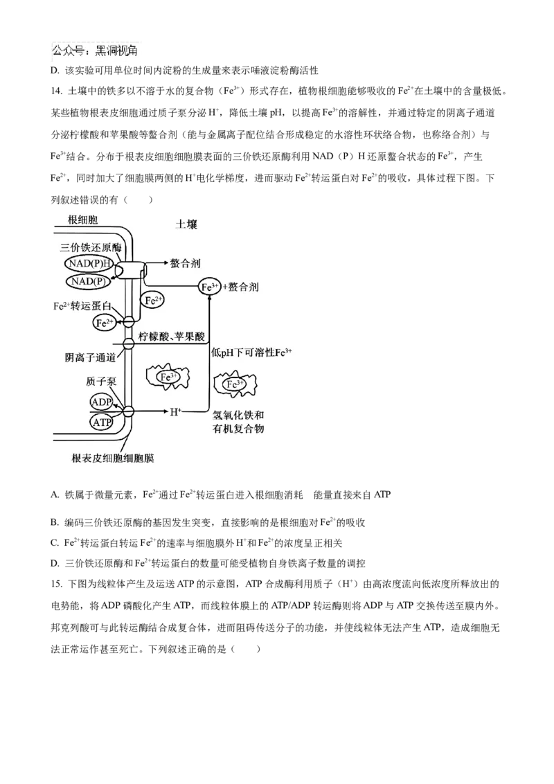 湖南省长沙市雅礼中学2025届高三上学期月考（二）生物试题_2024-2025高三（6-6月题库）_2024年10月试卷_1015湖南省长沙市雅礼中学2025届高三上学期月考（二）
