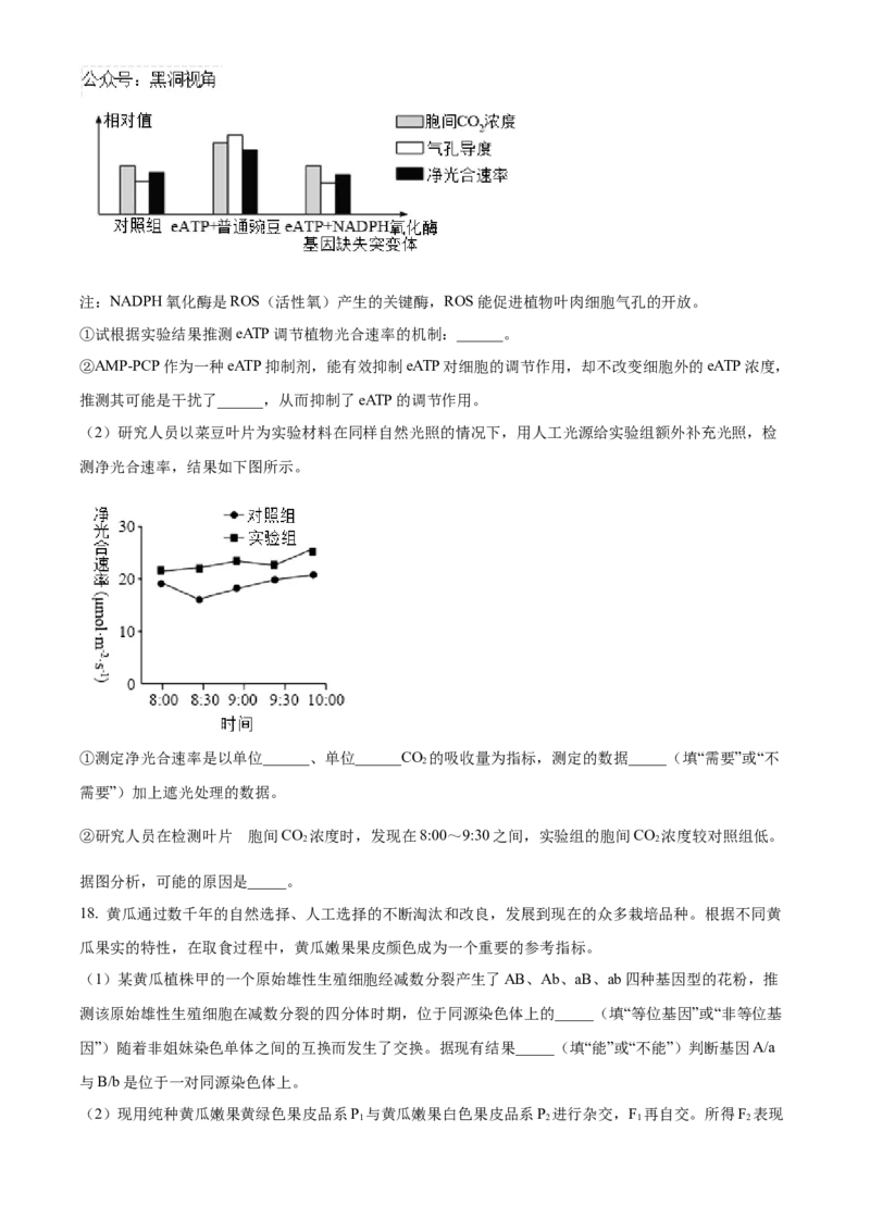 湖南省长沙市雅礼中学2025届高三上学期月考（二）生物试题_2024-2025高三（6-6月题库）_2024年10月试卷_1015湖南省长沙市雅礼中学2025届高三上学期月考（二）