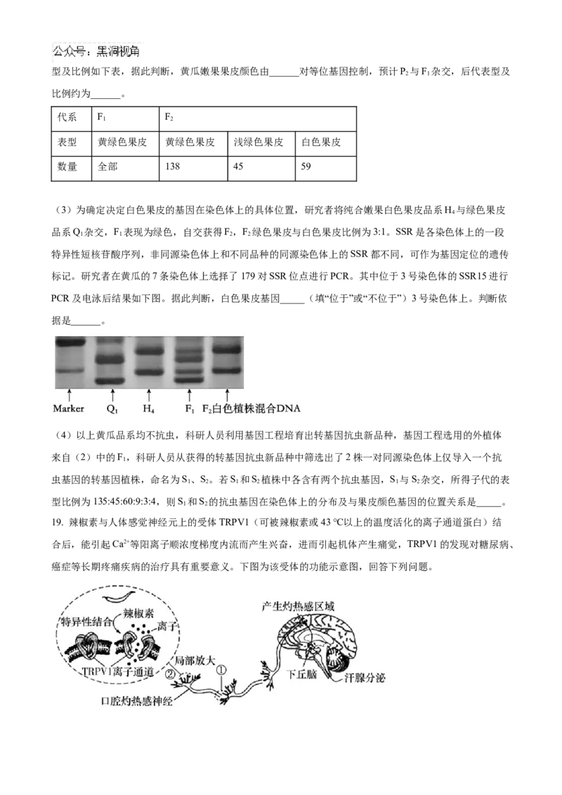 湖南省长沙市雅礼中学2025届高三上学期月考（二）生物试题_2024-2025高三（6-6月题库）_2024年10月试卷_1015湖南省长沙市雅礼中学2025届高三上学期月考（二）
