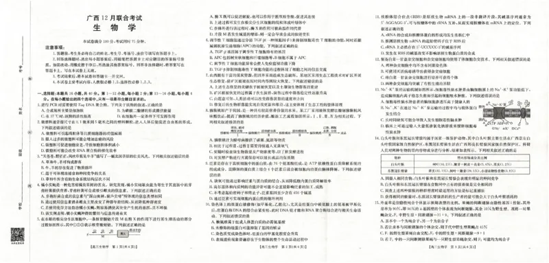 广西省2025届高三上学期12月联考（26-182C）生物_2024-2026高三（6-6月题库）_2025年12月高三试卷_251228金太阳&middot;广西省2025届高三上学期12月联考（26-182C）（全）