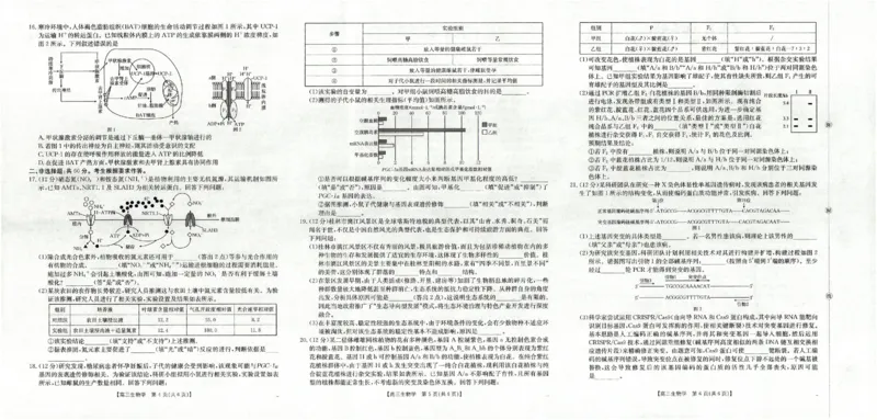 广西省2025届高三上学期12月联考（26-182C）生物_2024-2026高三（6-6月题库）_2025年12月高三试卷_251228金太阳&middot;广西省2025届高三上学期12月联考（26-182C）（全）