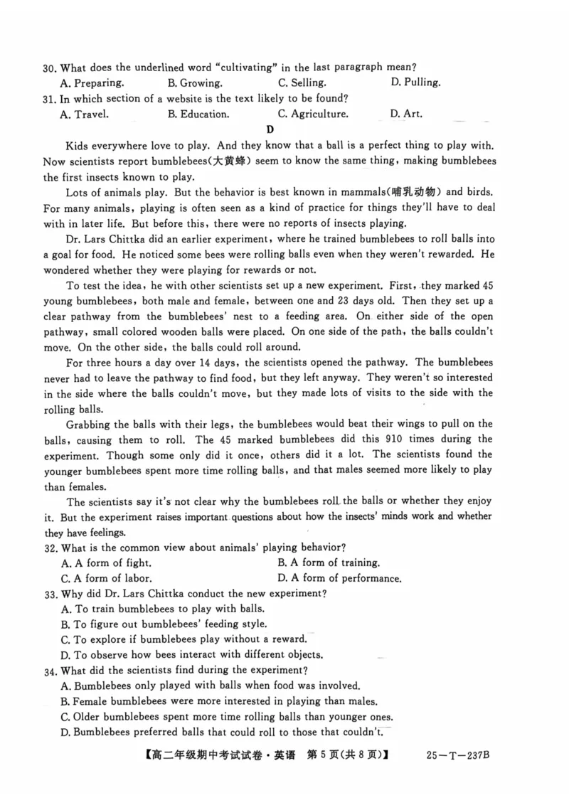英语试题_2024-2025高二（7-7月题库）_2024年11月试卷_1117安徽省阜阳市太和中学2024-2025学年高二上学期11月期中考试_安徽省阜阳市太和中学2024-2025学年高二上学期11月期中英语试题_英语