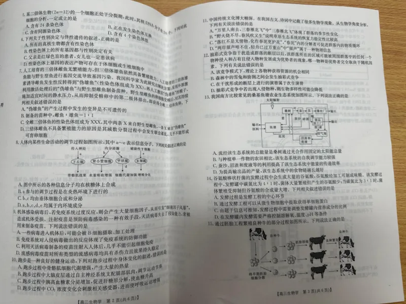 青海金太阳2025届高三10月联考生物试题_2024-2025高三（6-6月题库）_2024年10月试卷_1014青海省金太阳2025届高三10月联考
