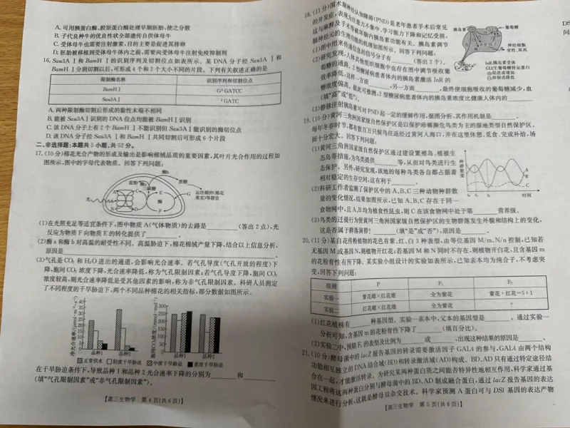 青海金太阳2025届高三10月联考生物试题_2024-2025高三（6-6月题库）_2024年10月试卷_1014青海省金太阳2025届高三10月联考
