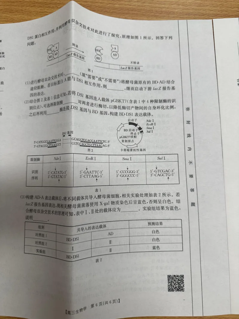 青海金太阳2025届高三10月联考生物试题_2024-2025高三（6-6月题库）_2024年10月试卷_1014青海省金太阳2025届高三10月联考