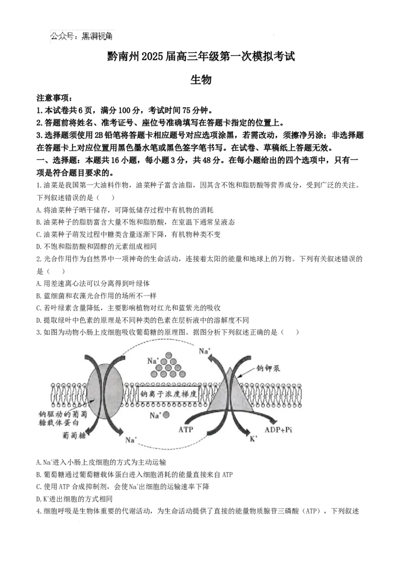 贵州省黔南布依族苗族自治州2025届高三第一次模拟考试生物_2024-2025高三（6-6月题库）_2024年12月试卷_1204贵州省黔南自治州2025届高三第一次模拟考试