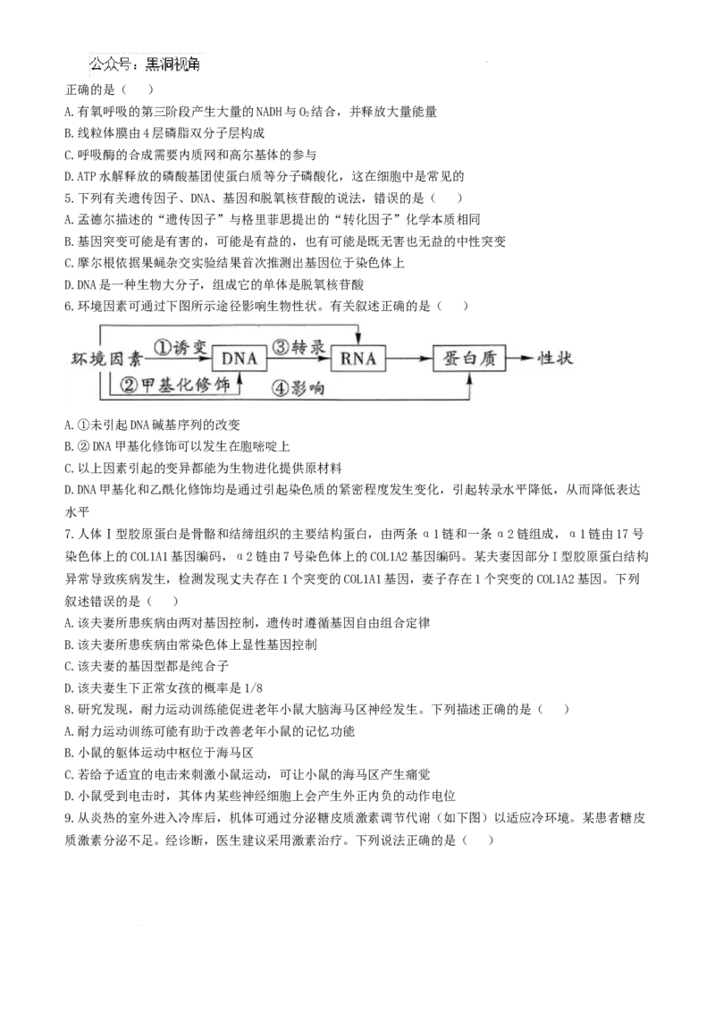 贵州省黔南布依族苗族自治州2025届高三第一次模拟考试生物_2024-2025高三（6-6月题库）_2024年12月试卷_1204贵州省黔南自治州2025届高三第一次模拟考试