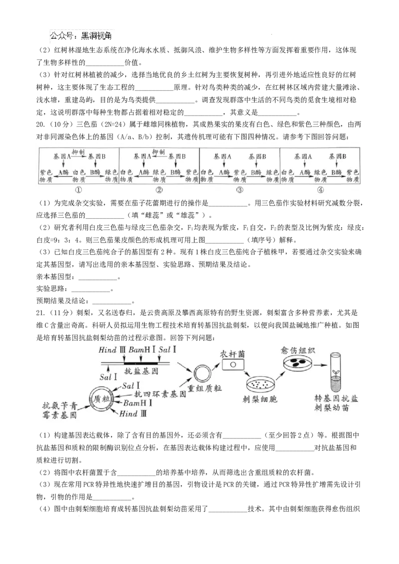 贵州省黔南布依族苗族自治州2025届高三第一次模拟考试生物_2024-2025高三（6-6月题库）_2024年12月试卷_1204贵州省黔南自治州2025届高三第一次模拟考试