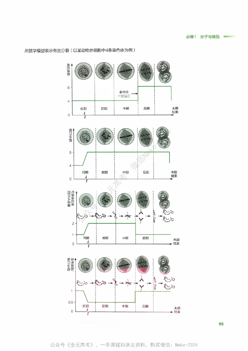 （备份）2024版《汉水丑生&middot;高中生物基础知识》2.0版_@_2024-2025高三（6-6月题库）_2024年09月试卷_汉水