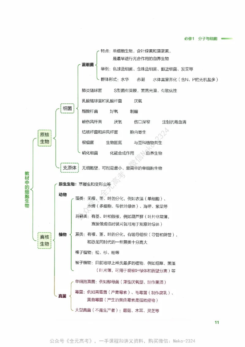 （备份）2024版《汉水丑生&middot;高中生物基础知识》2.0版_@_2024-2025高三（6-6月题库）_2024年09月试卷_汉水