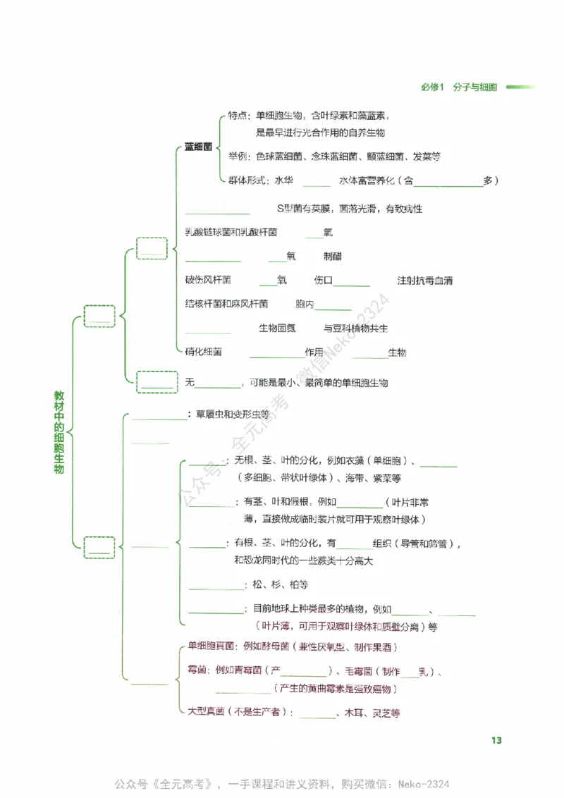 （备份）2024版《汉水丑生&middot;高中生物基础知识》2.0版_@_2024-2025高三（6-6月题库）_2024年09月试卷_汉水