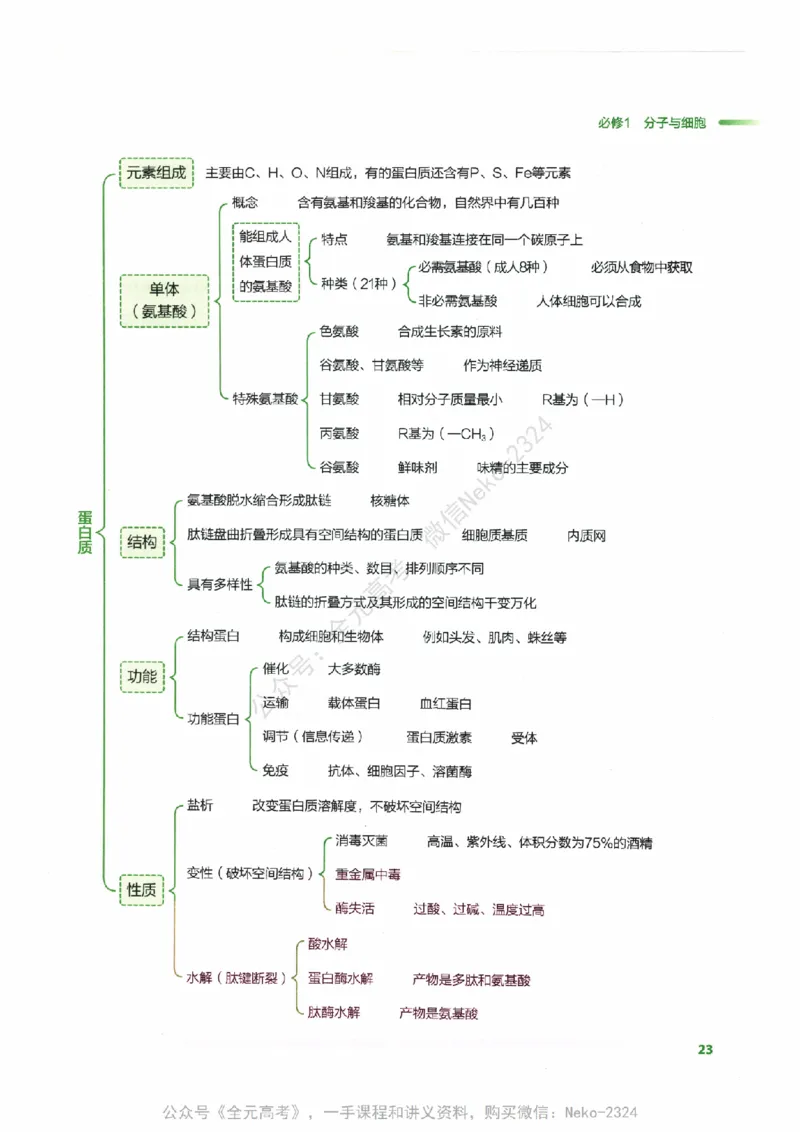 （备份）2024版《汉水丑生&middot;高中生物基础知识》2.0版_@_2024-2025高三（6-6月题库）_2024年09月试卷_汉水
