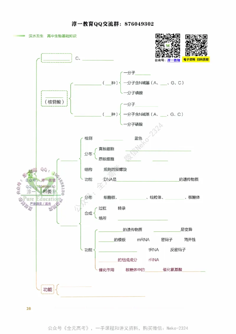 （备份）2024版《汉水丑生&middot;高中生物基础知识》2.0版_@_2024-2025高三（6-6月题库）_2024年09月试卷_汉水