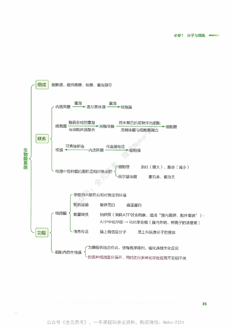 （备份）2024版《汉水丑生&middot;高中生物基础知识》2.0版_@_2024-2025高三（6-6月题库）_2024年09月试卷_汉水