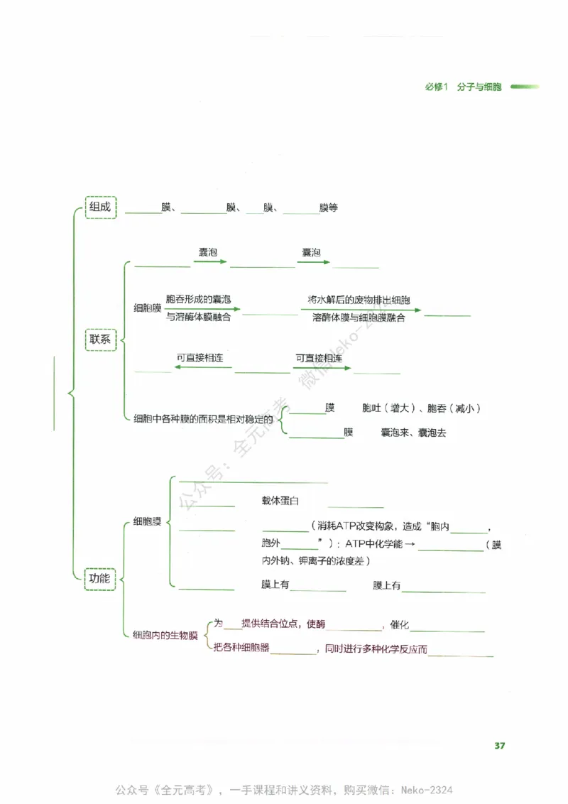 （备份）2024版《汉水丑生&middot;高中生物基础知识》2.0版_@_2024-2025高三（6-6月题库）_2024年09月试卷_汉水