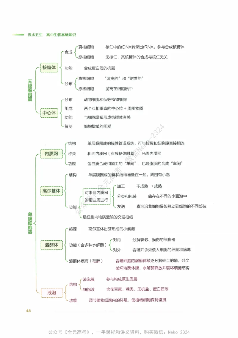 （备份）2024版《汉水丑生&middot;高中生物基础知识》2.0版_@_2024-2025高三（6-6月题库）_2024年09月试卷_汉水