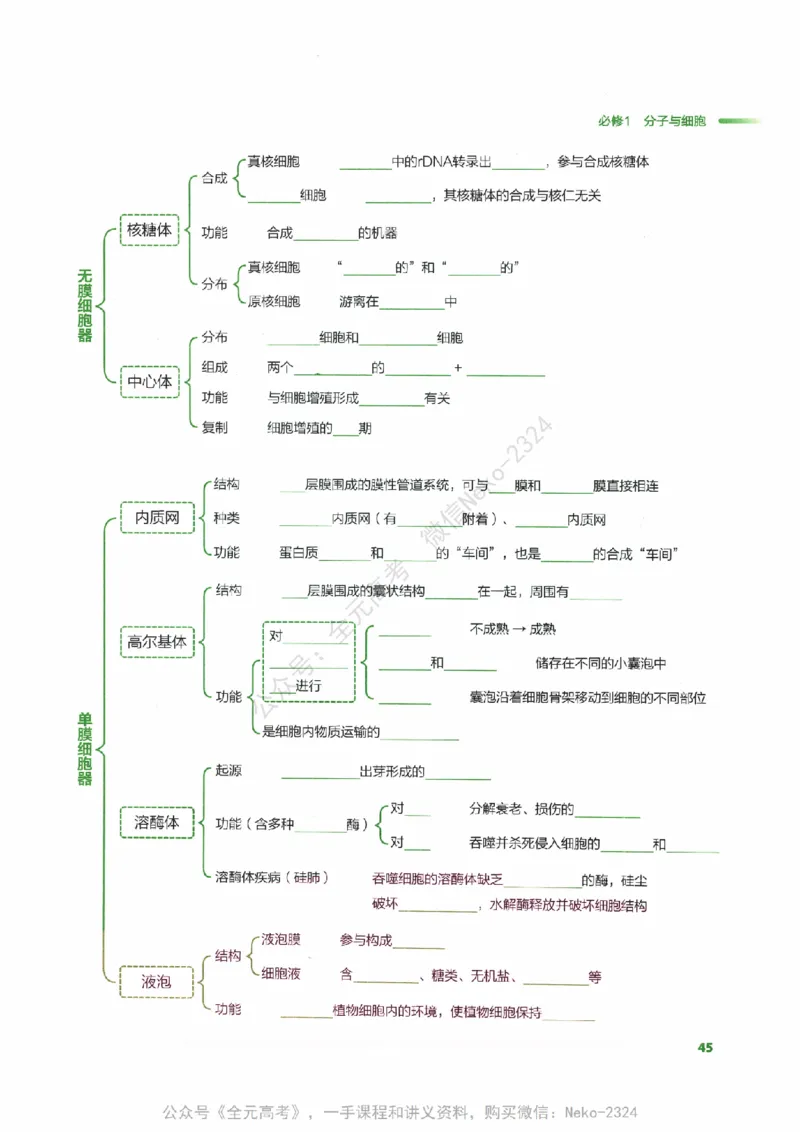 （备份）2024版《汉水丑生&middot;高中生物基础知识》2.0版_@_2024-2025高三（6-6月题库）_2024年09月试卷_汉水