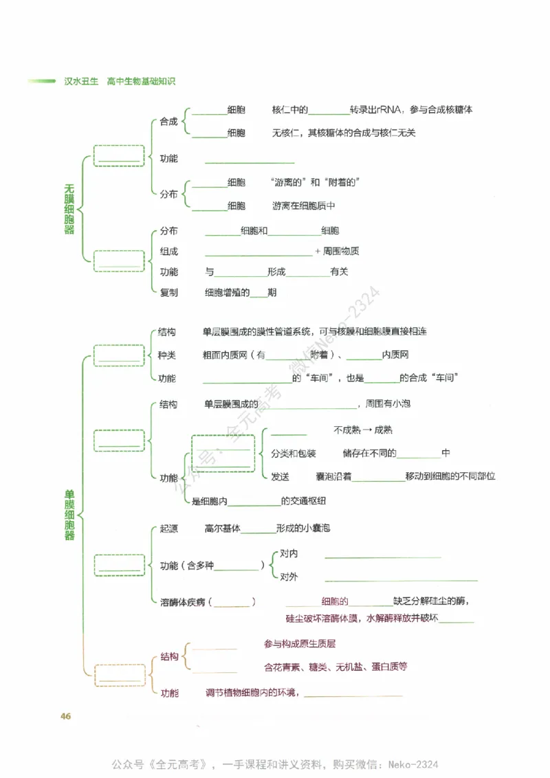 （备份）2024版《汉水丑生&middot;高中生物基础知识》2.0版_@_2024-2025高三（6-6月题库）_2024年09月试卷_汉水