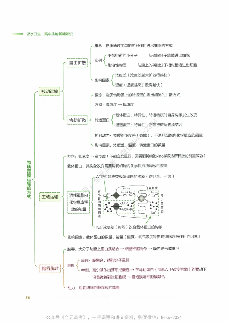 （备份）2024版《汉水丑生&middot;高中生物基础知识》2.0版_@_2024-2025高三（6-6月题库）_2024年09月试卷_汉水