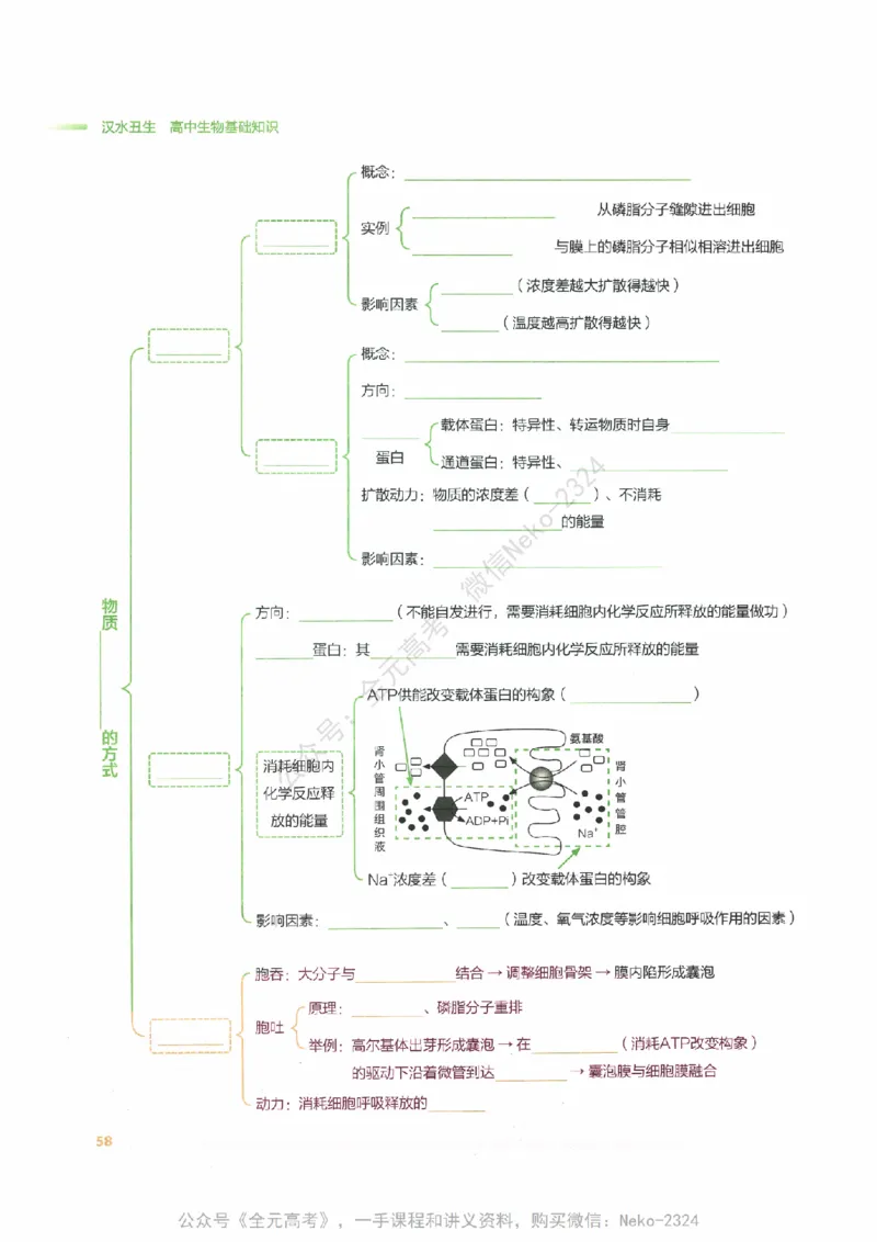 （备份）2024版《汉水丑生&middot;高中生物基础知识》2.0版_@_2024-2025高三（6-6月题库）_2024年09月试卷_汉水