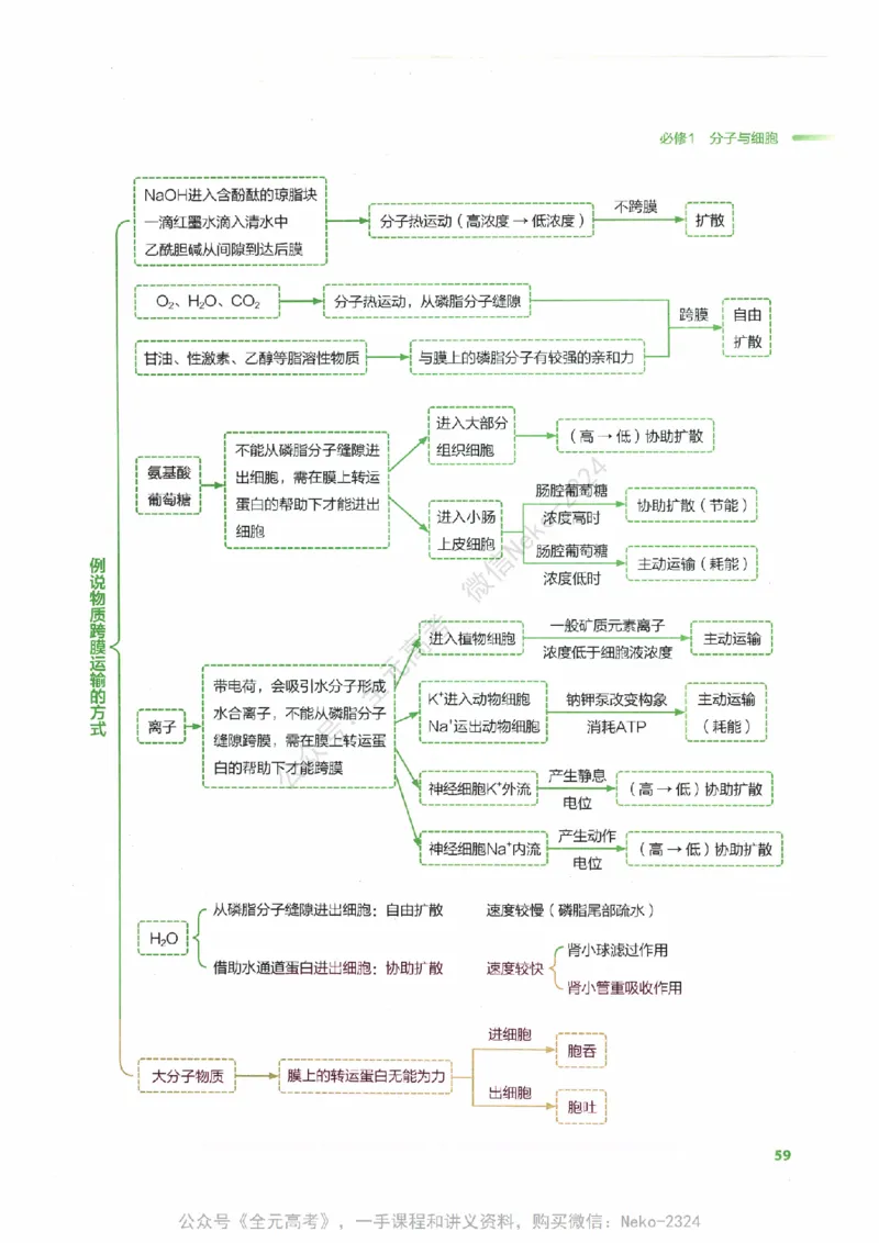 （备份）2024版《汉水丑生&middot;高中生物基础知识》2.0版_@_2024-2025高三（6-6月题库）_2024年09月试卷_汉水