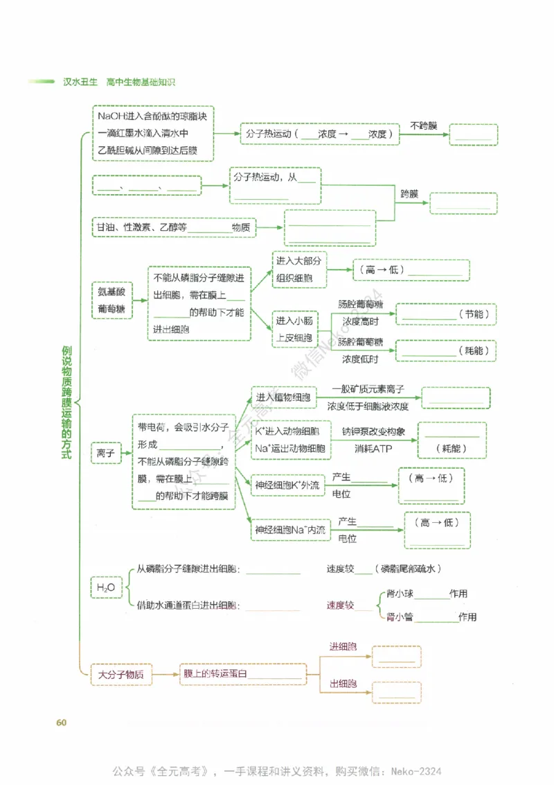 （备份）2024版《汉水丑生&middot;高中生物基础知识》2.0版_@_2024-2025高三（6-6月题库）_2024年09月试卷_汉水