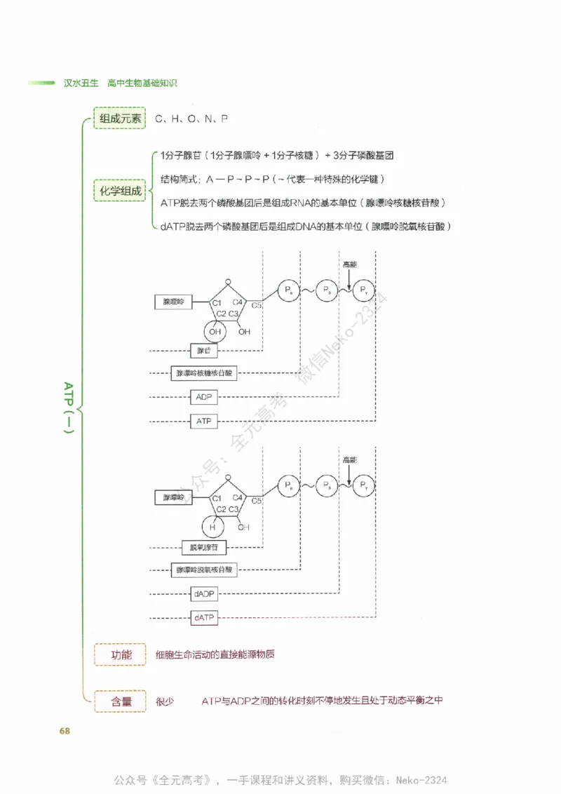 （备份）2024版《汉水丑生&middot;高中生物基础知识》2.0版_@_2024-2025高三（6-6月题库）_2024年09月试卷_汉水