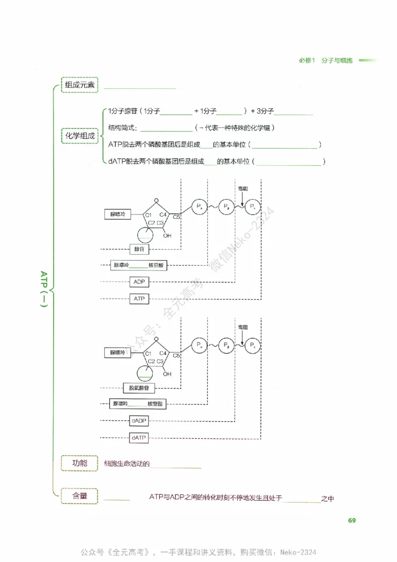 （备份）2024版《汉水丑生&middot;高中生物基础知识》2.0版_@_2024-2025高三（6-6月题库）_2024年09月试卷_汉水
