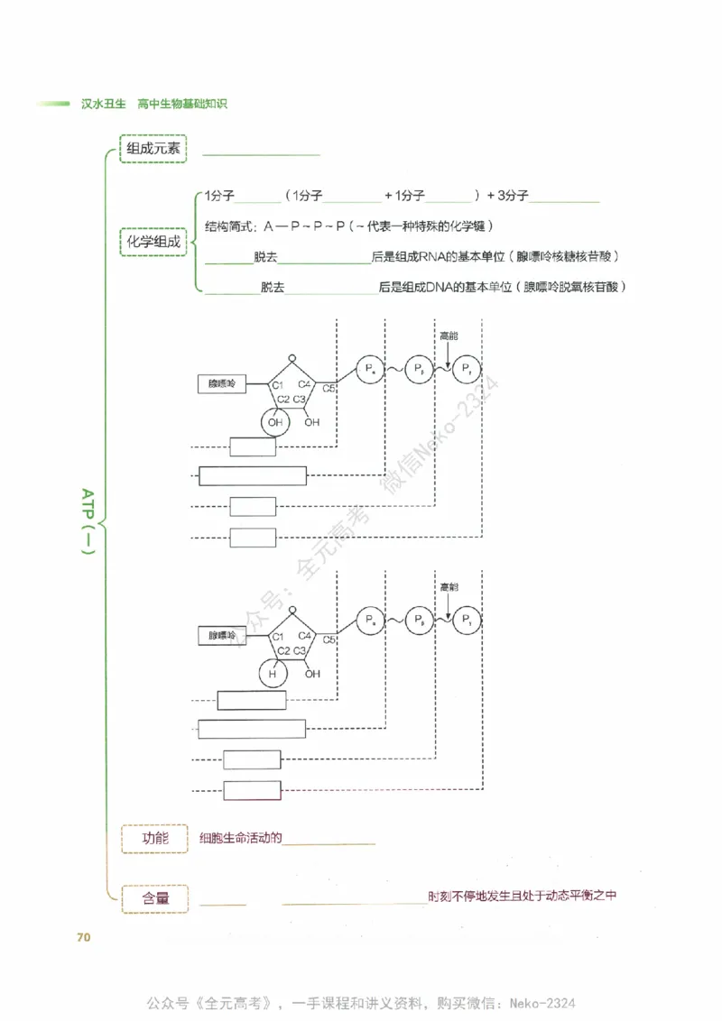 （备份）2024版《汉水丑生&middot;高中生物基础知识》2.0版_@_2024-2025高三（6-6月题库）_2024年09月试卷_汉水