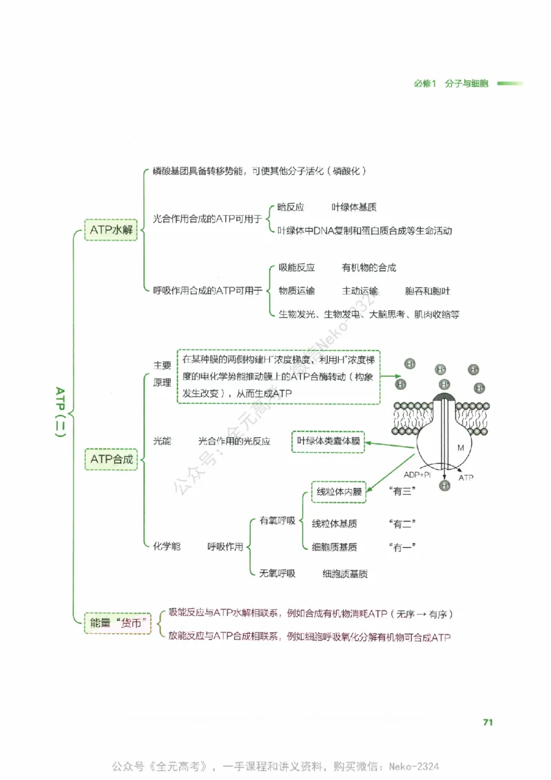 （备份）2024版《汉水丑生&middot;高中生物基础知识》2.0版_@_2024-2025高三（6-6月题库）_2024年09月试卷_汉水