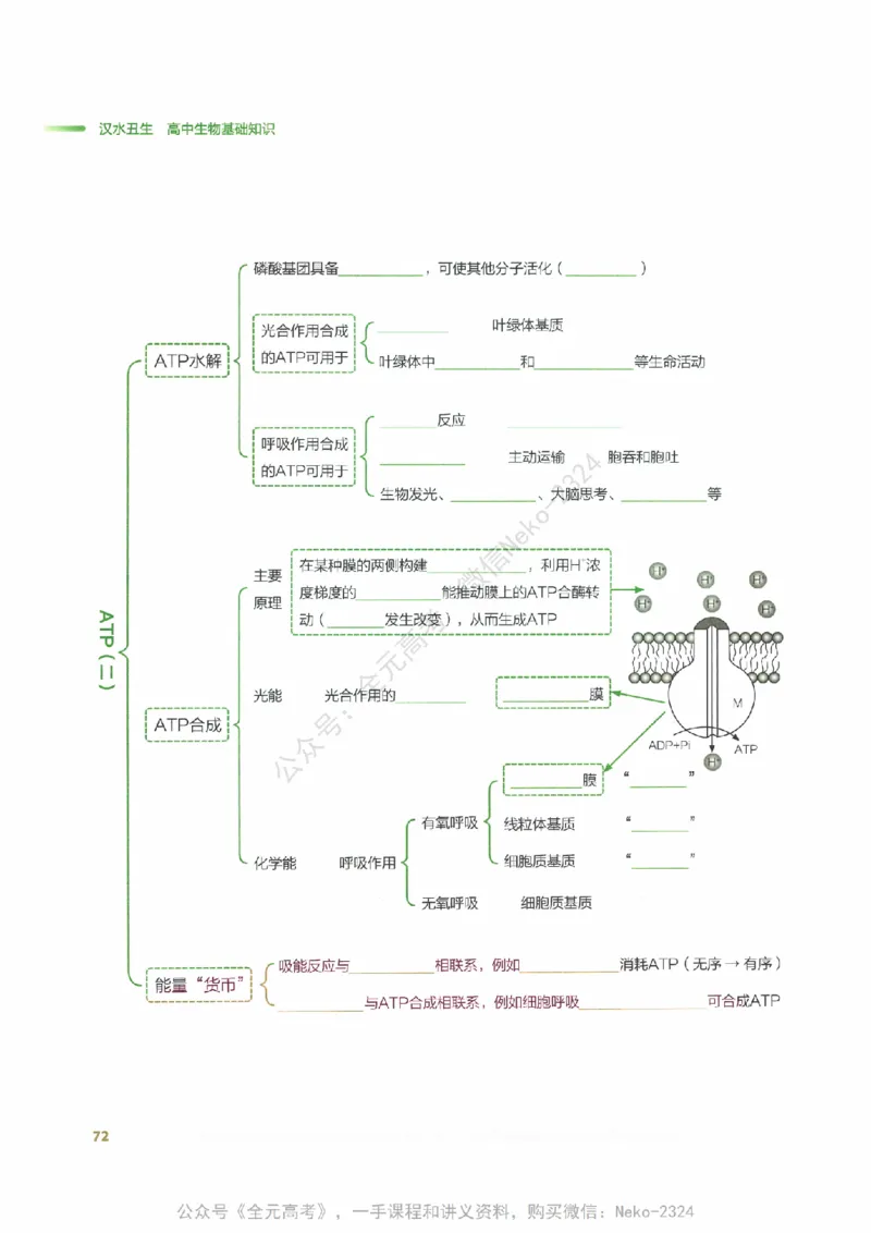 （备份）2024版《汉水丑生&middot;高中生物基础知识》2.0版_@_2024-2025高三（6-6月题库）_2024年09月试卷_汉水