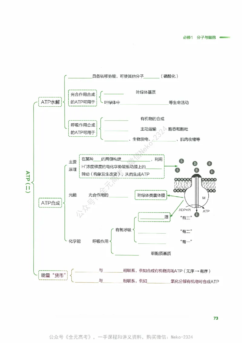 （备份）2024版《汉水丑生&middot;高中生物基础知识》2.0版_@_2024-2025高三（6-6月题库）_2024年09月试卷_汉水