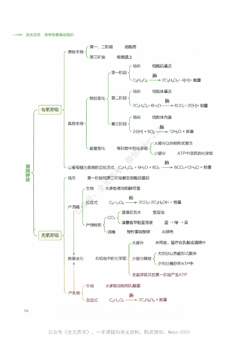 （备份）2024版《汉水丑生&middot;高中生物基础知识》2.0版_@_2024-2025高三（6-6月题库）_2024年09月试卷_汉水