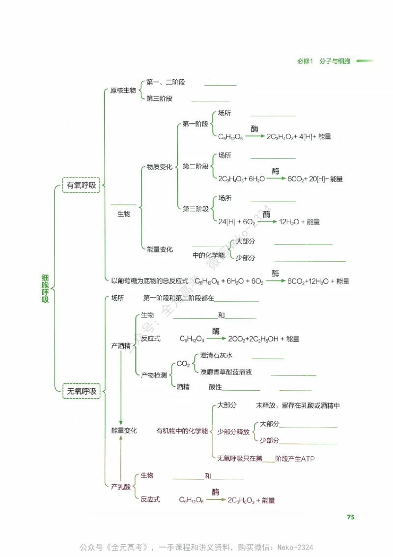 （备份）2024版《汉水丑生&middot;高中生物基础知识》2.0版_@_2024-2025高三（6-6月题库）_2024年09月试卷_汉水