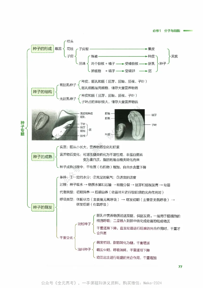 （备份）2024版《汉水丑生&middot;高中生物基础知识》2.0版_@_2024-2025高三（6-6月题库）_2024年09月试卷_汉水