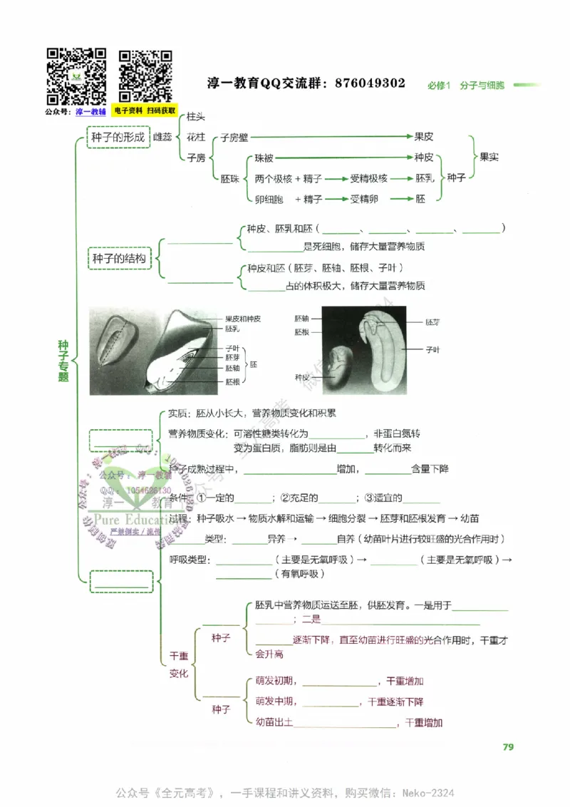 （备份）2024版《汉水丑生&middot;高中生物基础知识》2.0版_@_2024-2025高三（6-6月题库）_2024年09月试卷_汉水
