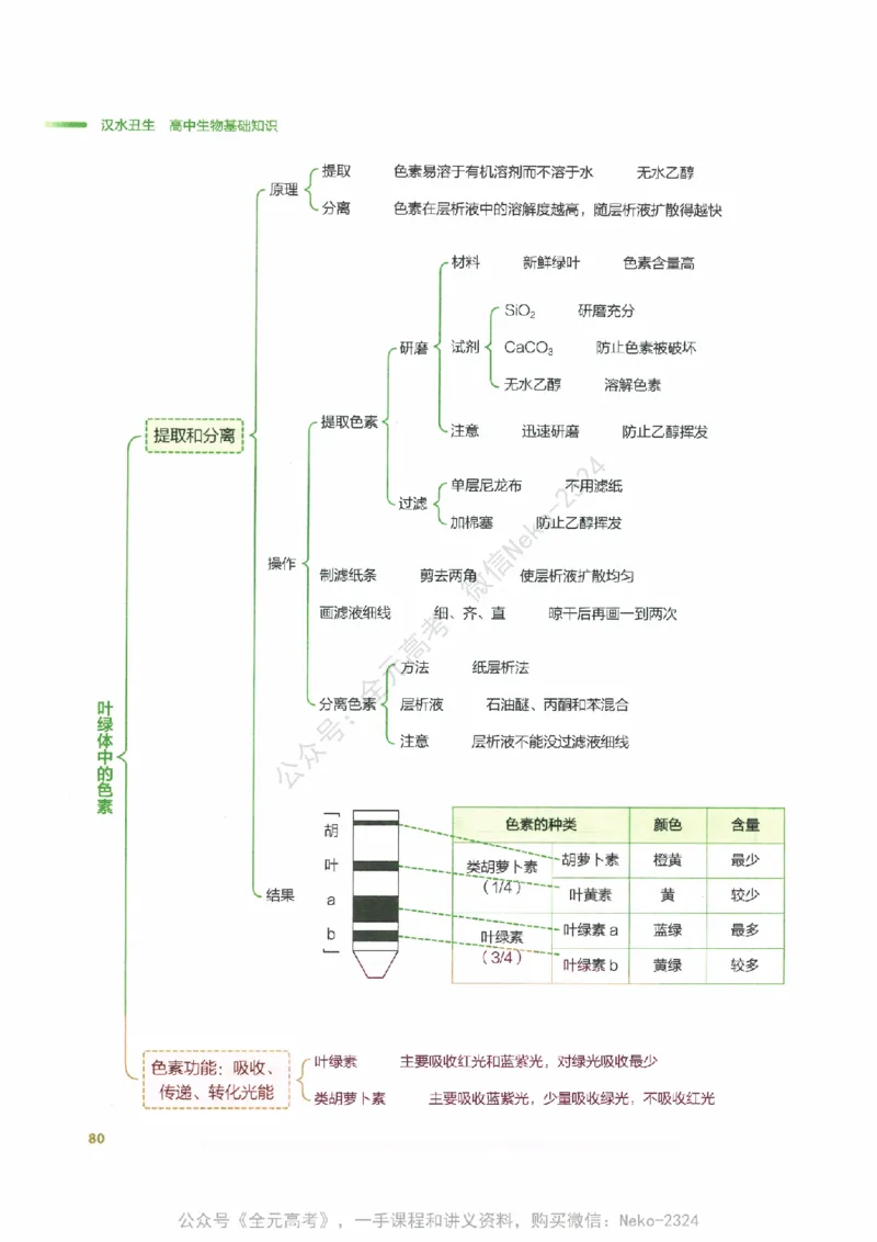 （备份）2024版《汉水丑生&middot;高中生物基础知识》2.0版_@_2024-2025高三（6-6月题库）_2024年09月试卷_汉水