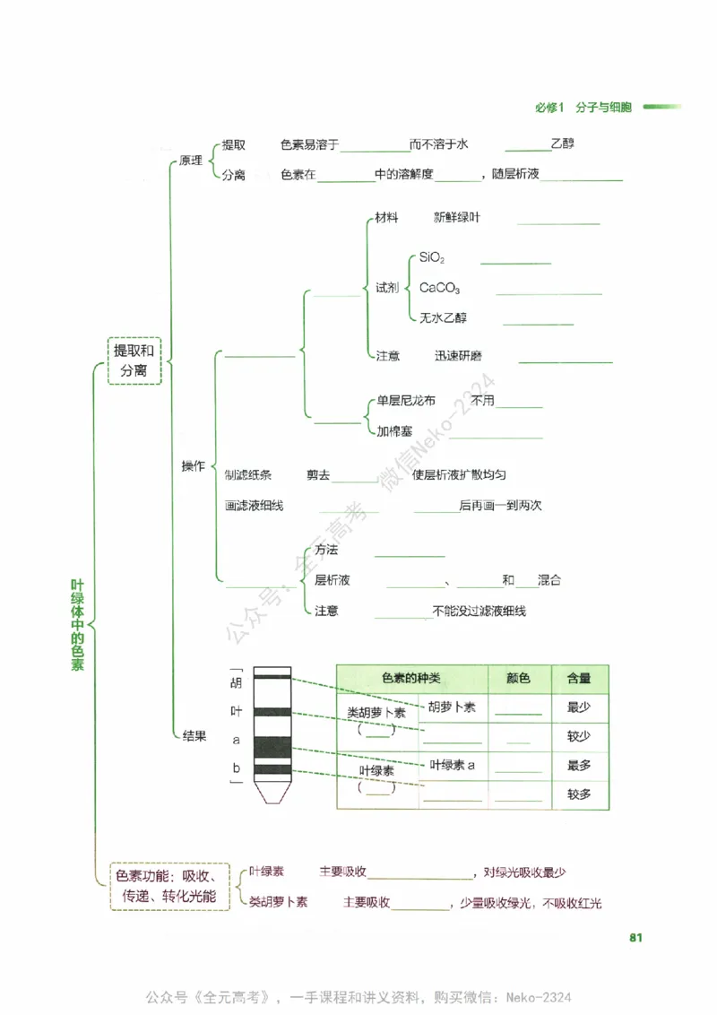 （备份）2024版《汉水丑生&middot;高中生物基础知识》2.0版_@_2024-2025高三（6-6月题库）_2024年09月试卷_汉水