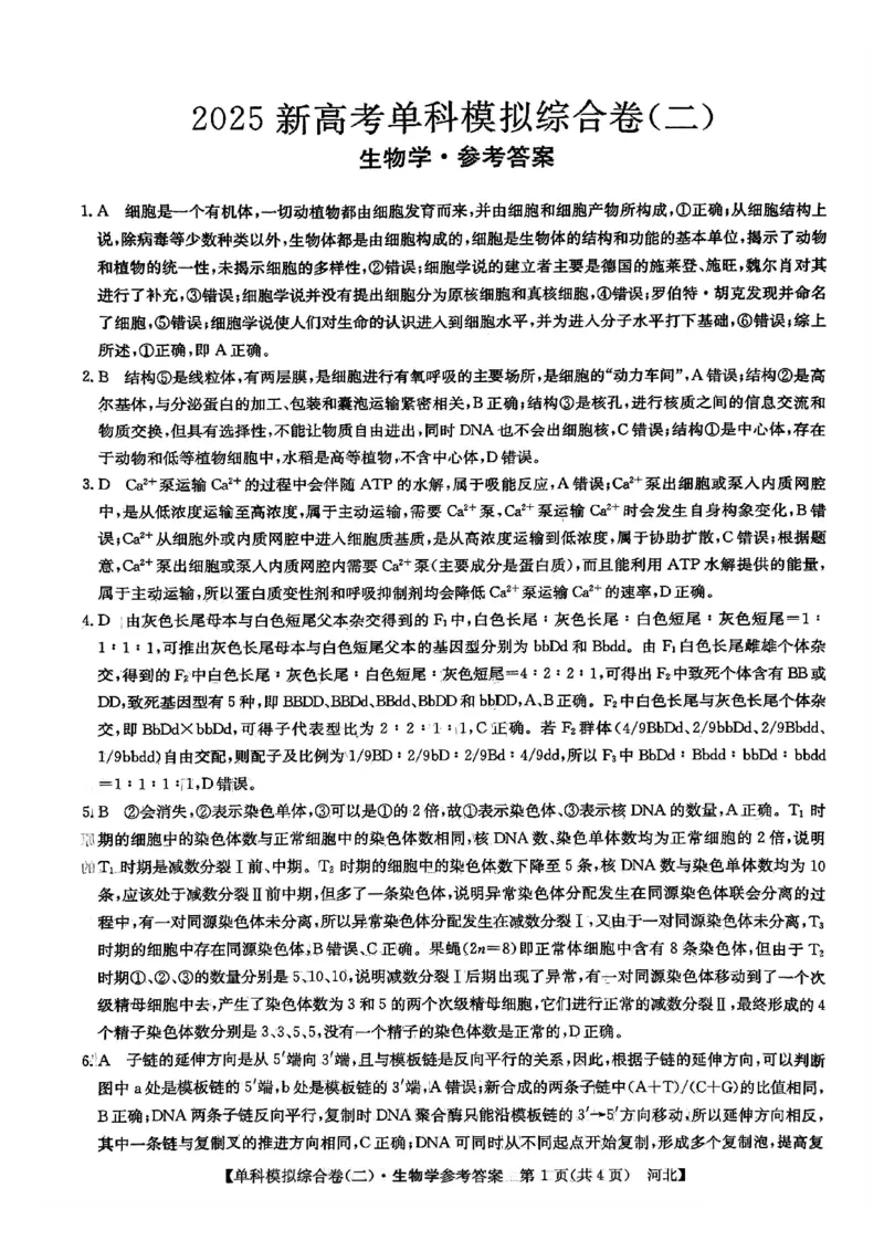 生物试卷答案_2024-2025高三（6-6月题库）_2024年11月试卷_1102河北省2025届高三上学期新高考单科模拟综合卷（二）_河北省2025届高三上学期新高考单科模拟综合卷（二）生物