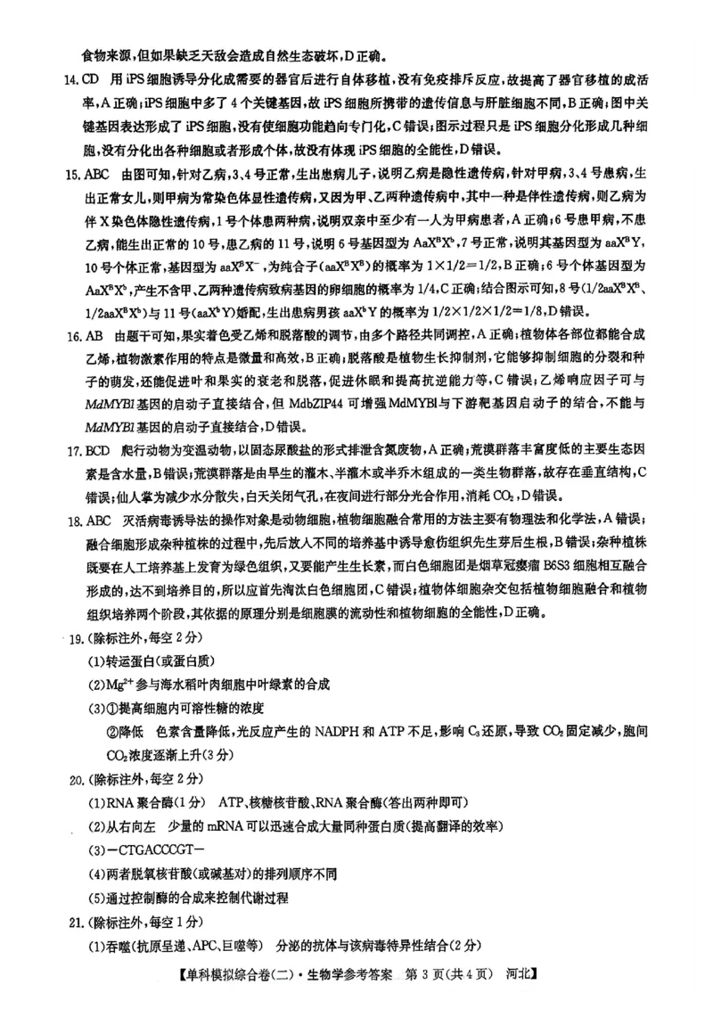生物试卷答案_2024-2025高三（6-6月题库）_2024年11月试卷_1102河北省2025届高三上学期新高考单科模拟综合卷（二）_河北省2025届高三上学期新高考单科模拟综合卷（二）生物