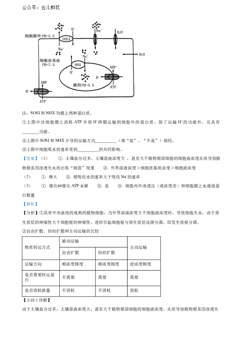 辽宁省锦州市2023-2024学年高二下学期期末考试生物Word版含解析_2024-2025高二（7-7月题库）_2024年07月试卷_0730辽宁省锦州市2023-2024学年高二下学期期末考试